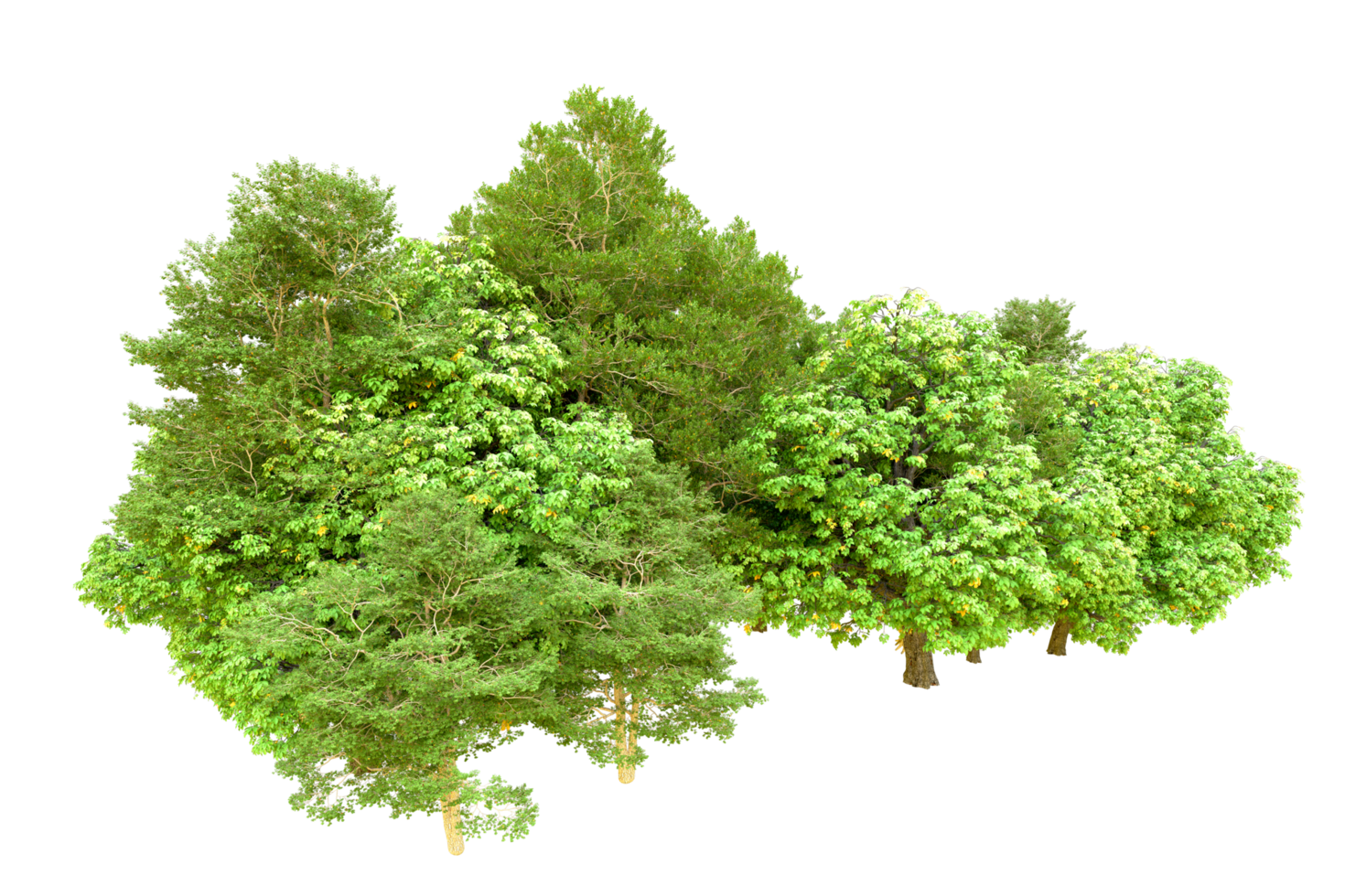 Green forest isolated on background. 3d rendering - illustration png