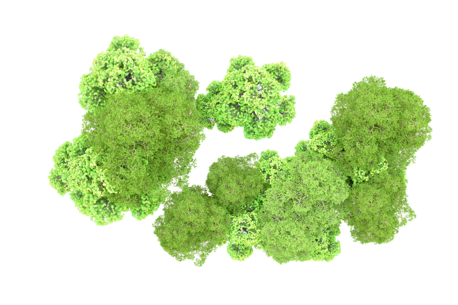 Green forest isolated on background. 3d rendering - illustration png