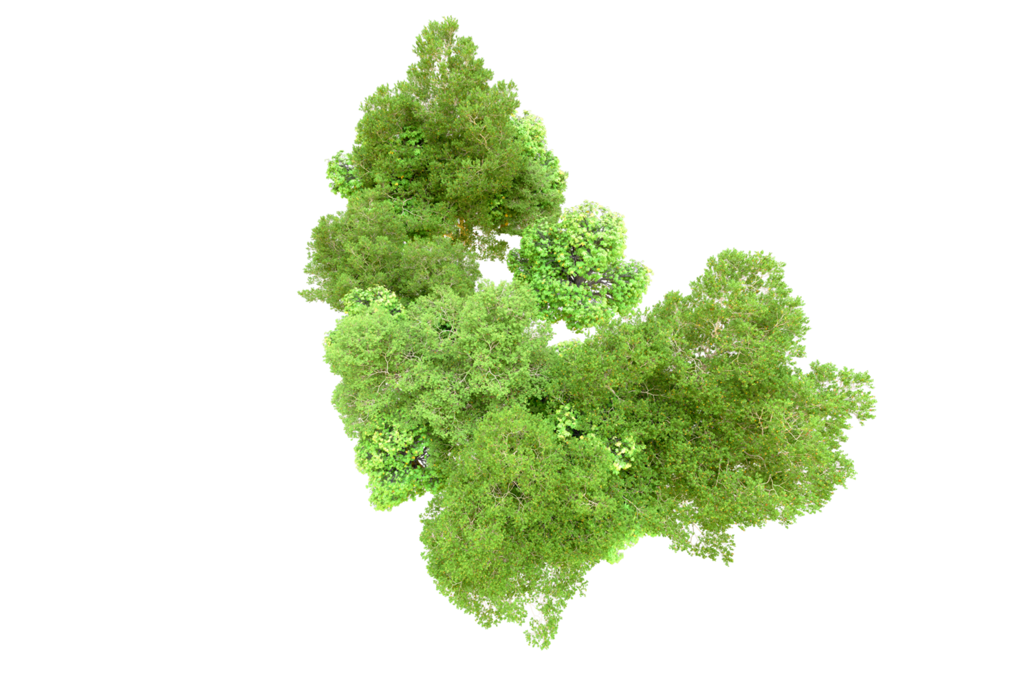 Green forest isolated on background. 3d rendering - illustration png
