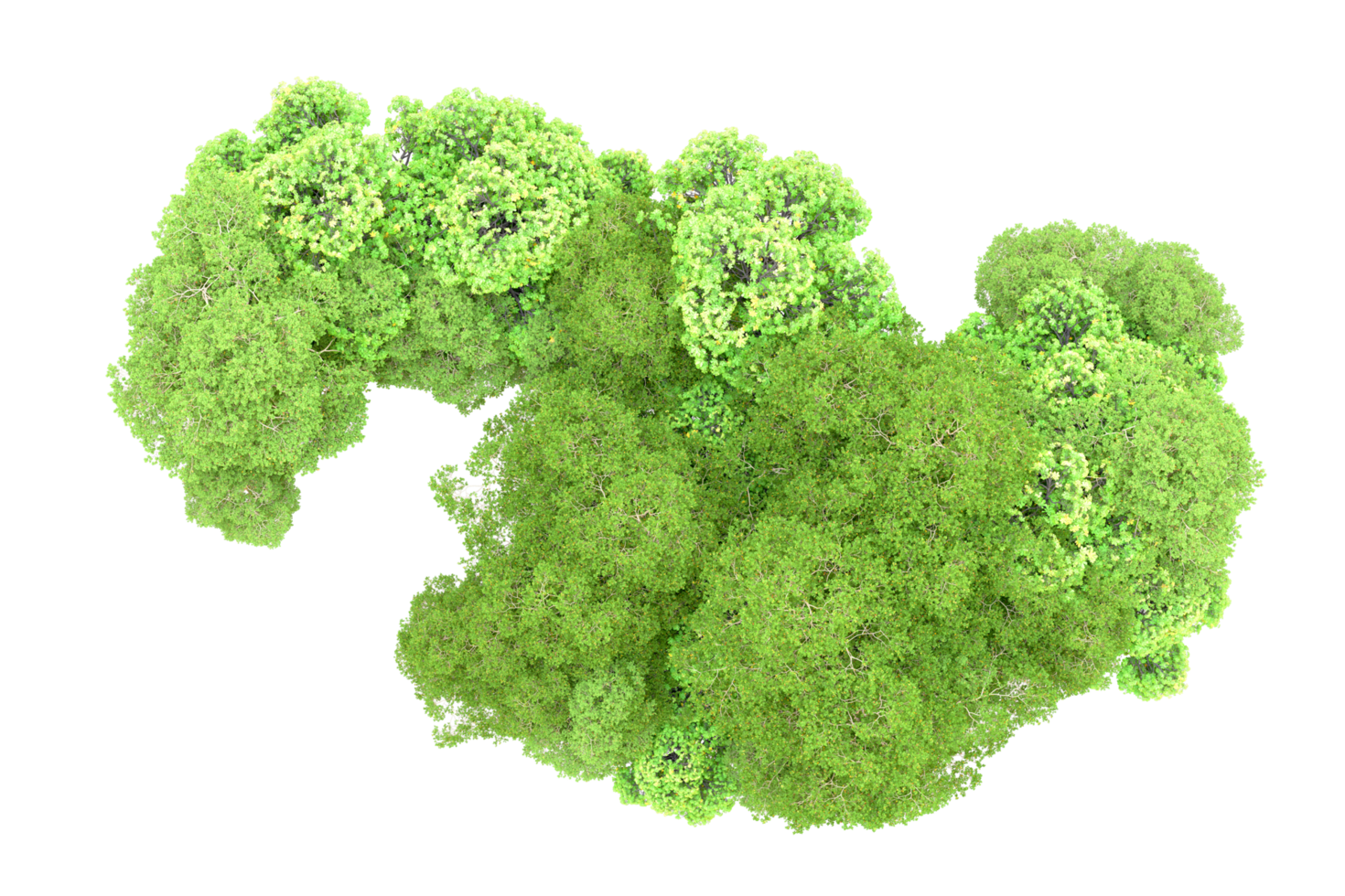 Green forest isolated on background. 3d rendering - illustration png