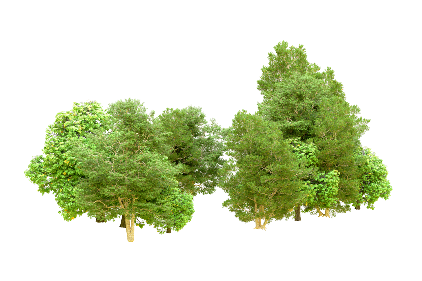 Green forest isolated on background. 3d rendering - illustration png