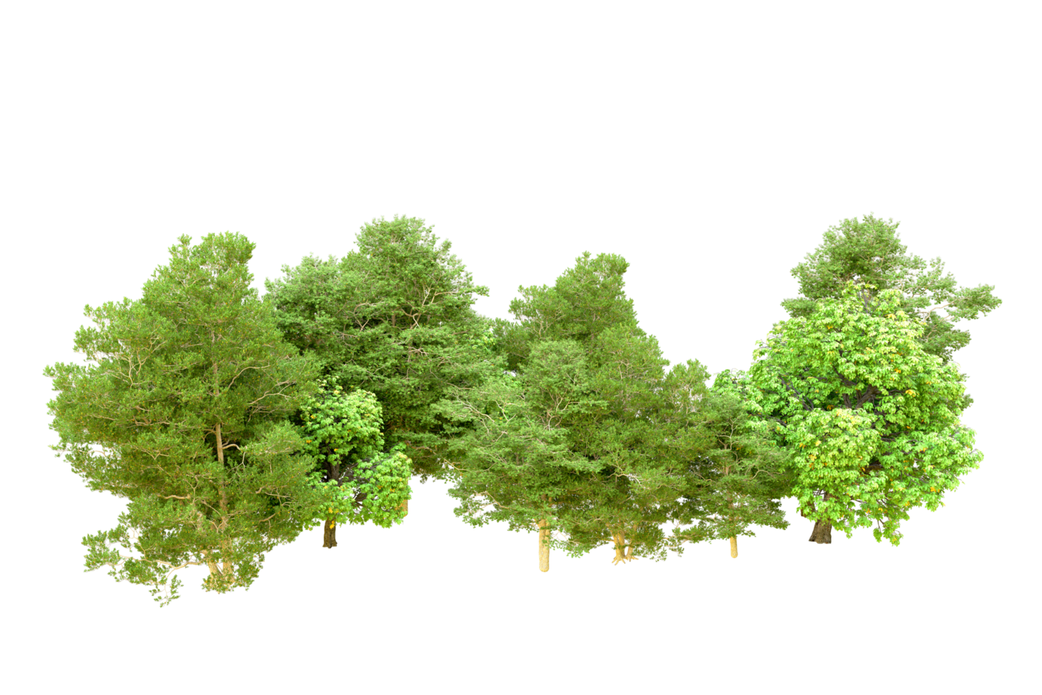 Green forest isolated on background. 3d rendering - illustration png