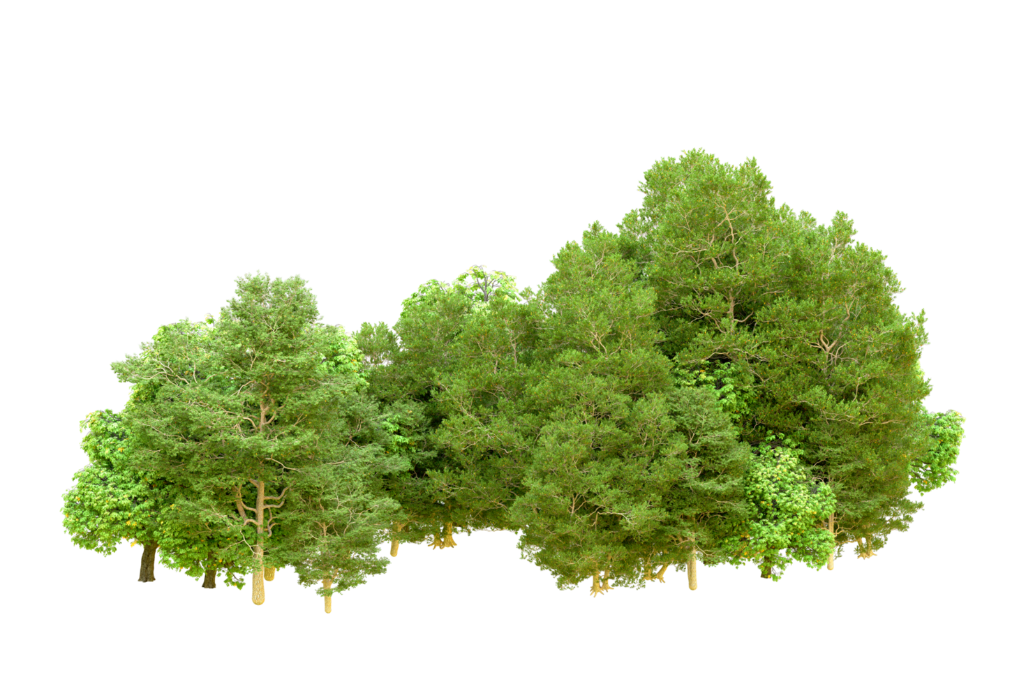 Green forest isolated on background. 3d rendering - illustration png