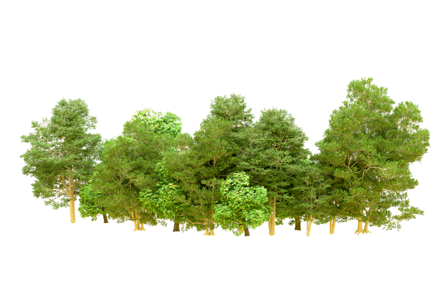 Green forest isolated on background. 3d rendering - illustration png