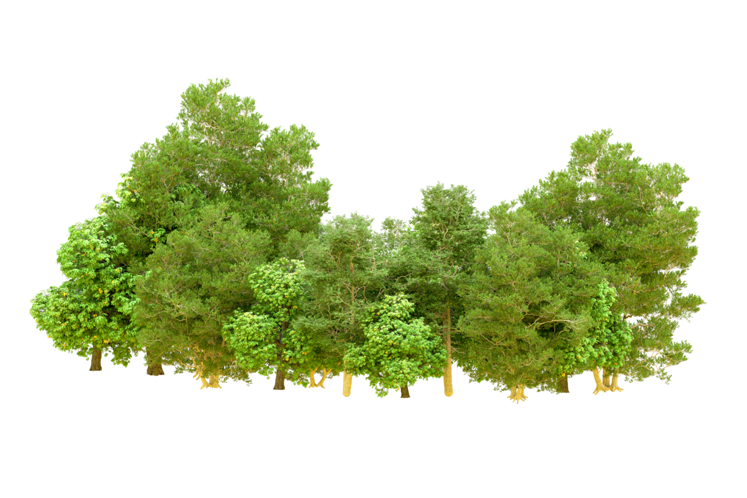 Green forest isolated on background. 3d rendering - illustration png