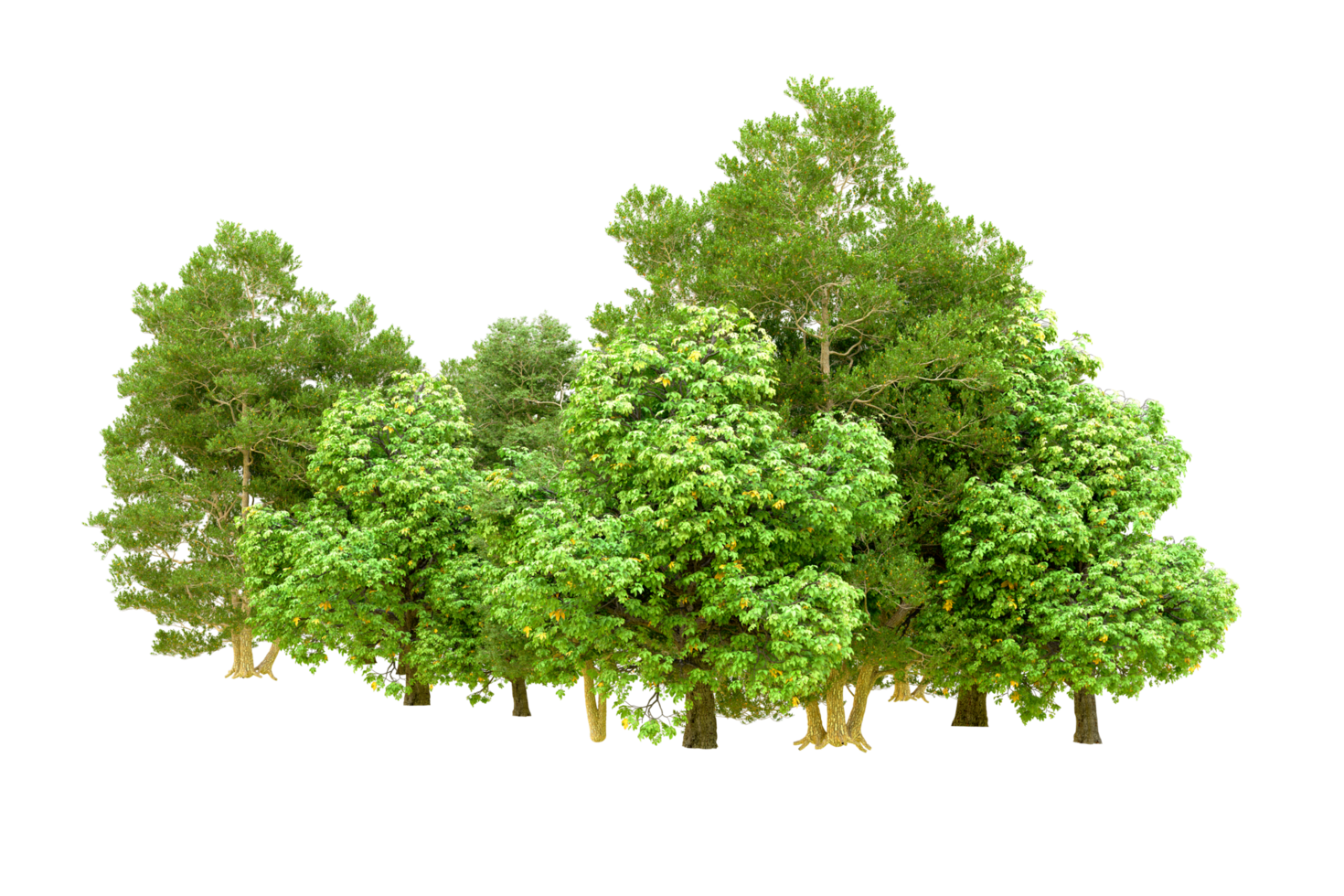 Green forest isolated on background. 3d rendering - illustration png