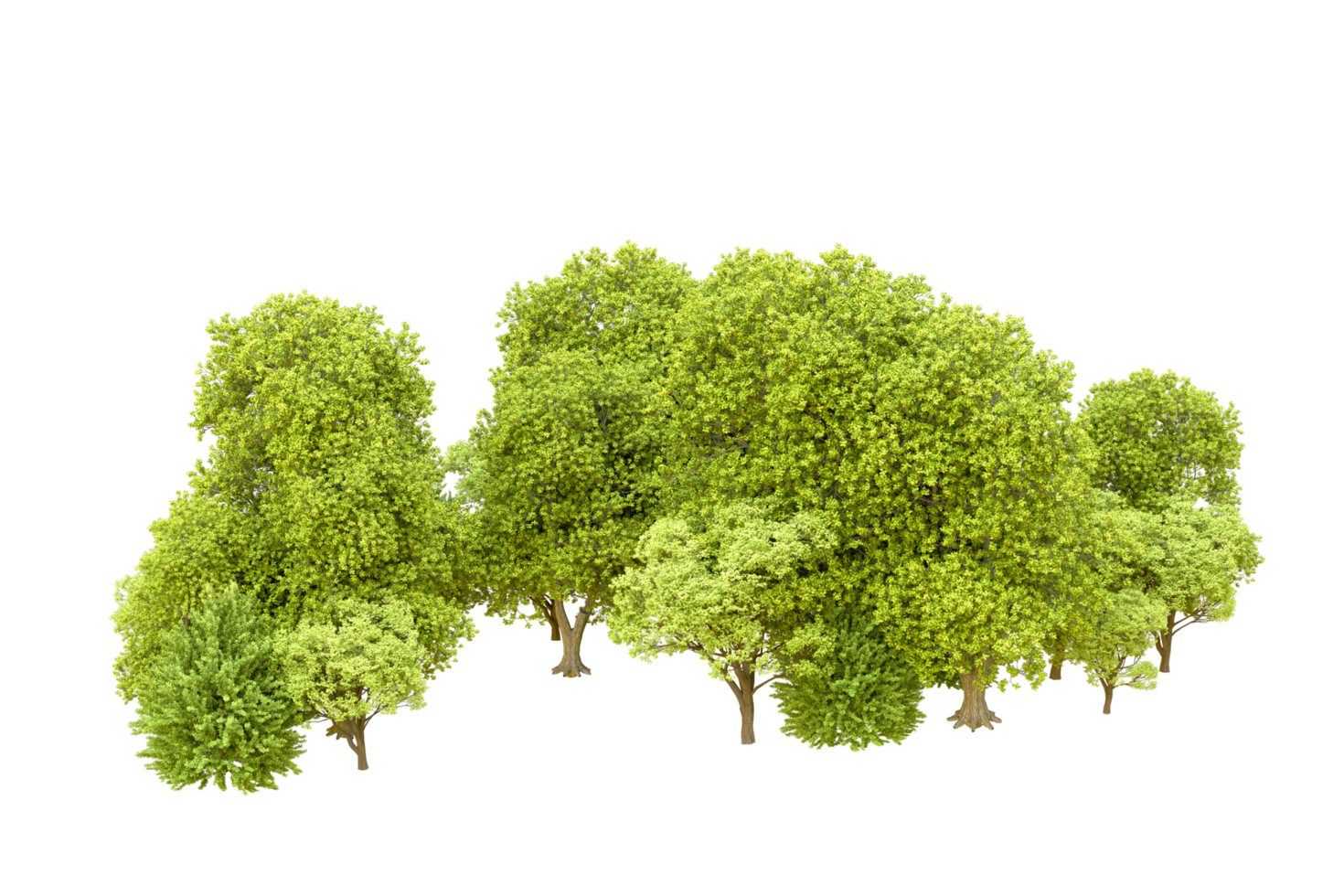 Green forest isolated on background. 3d rendering - illustration png