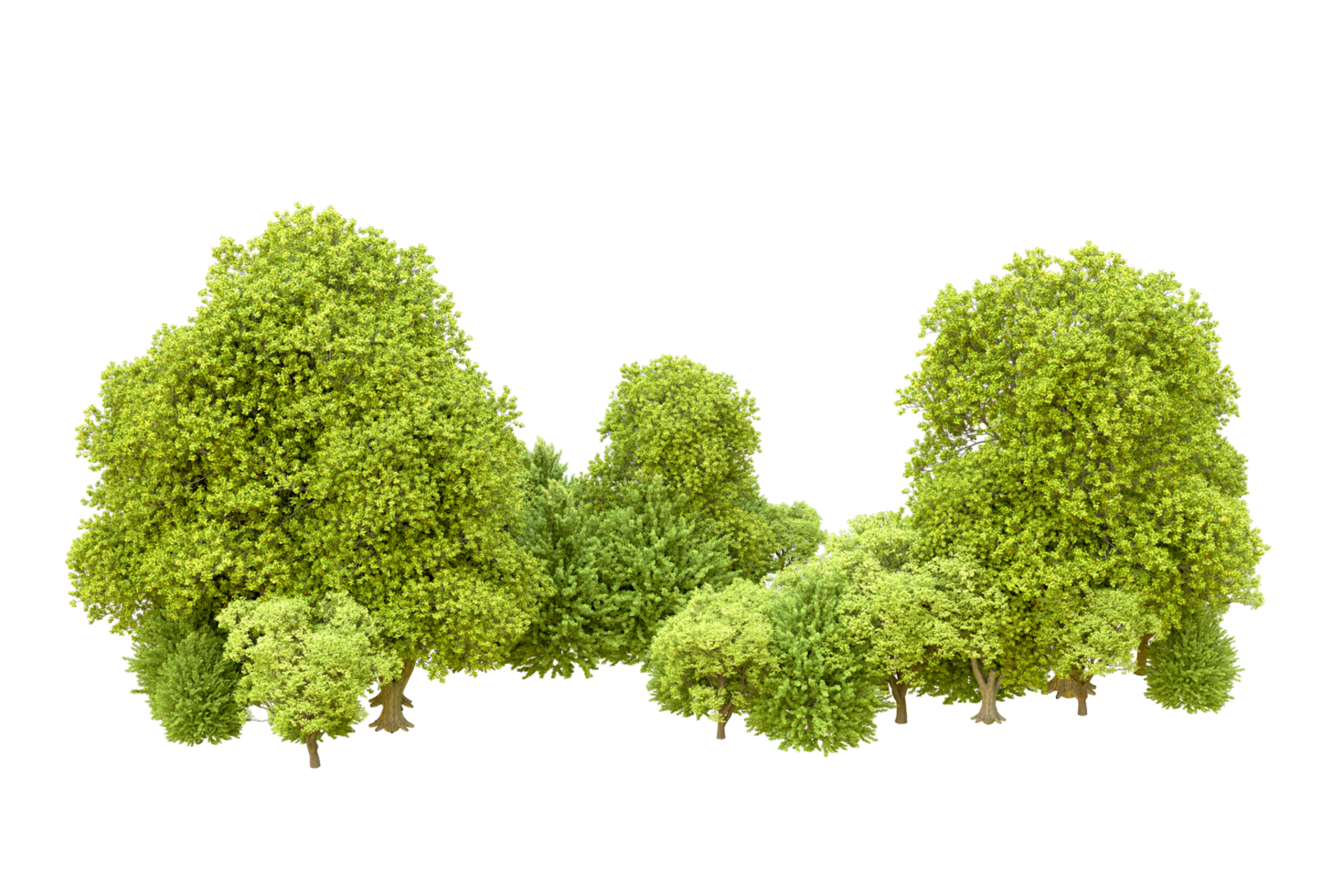 Green forest isolated on background. 3d rendering - illustration png