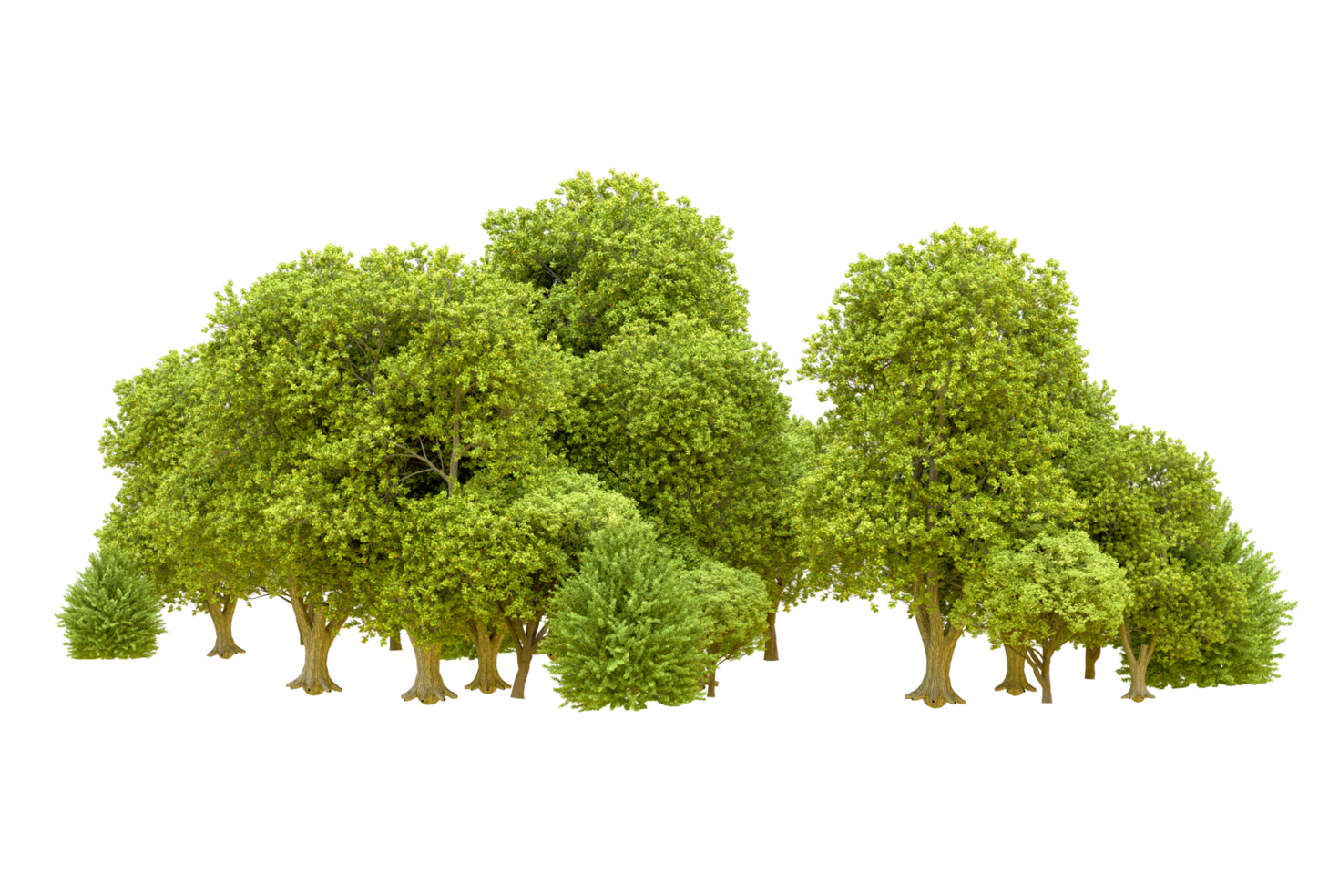 Green forest isolated on background. 3d rendering - illustration png