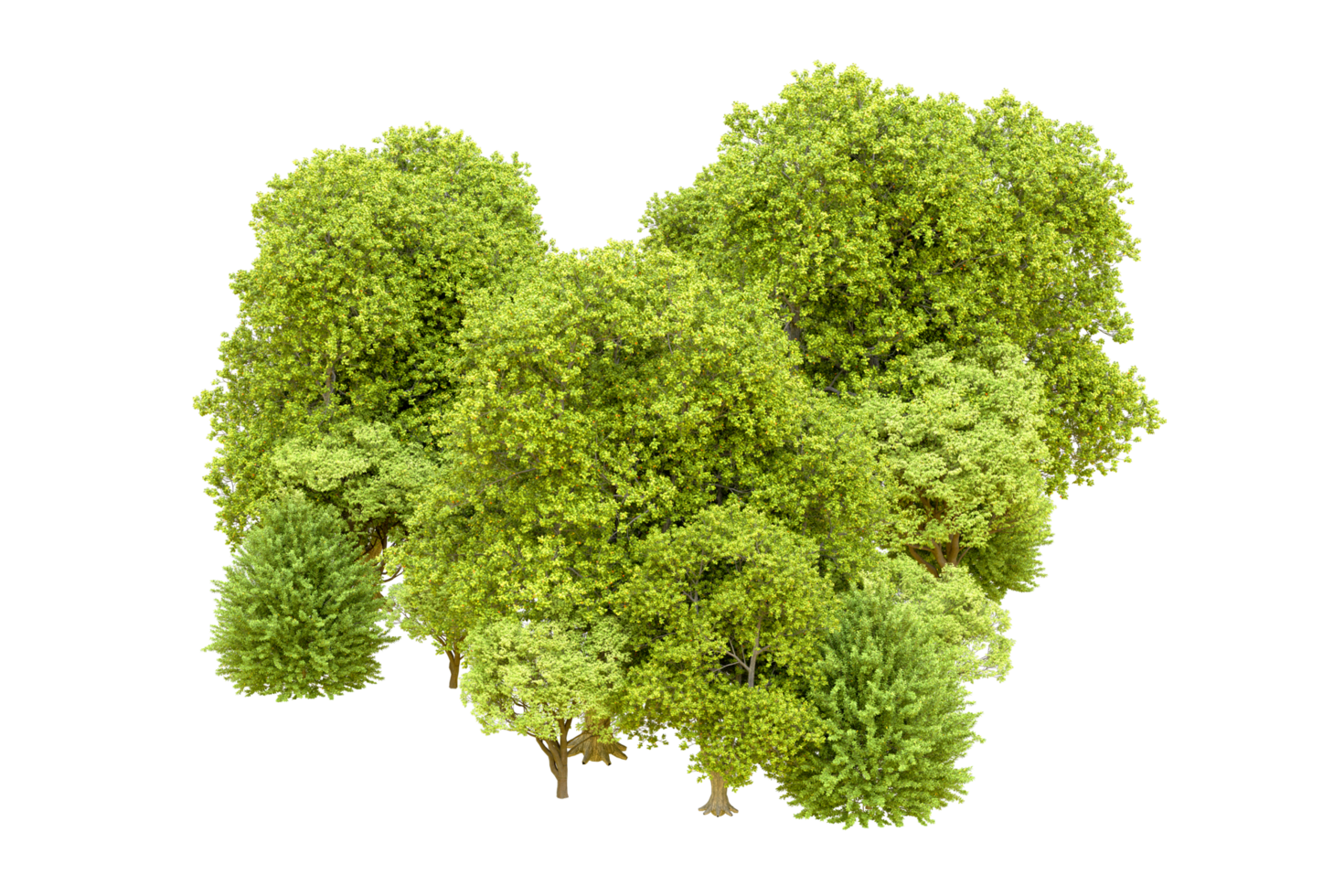 Green forest isolated on background. 3d rendering - illustration png