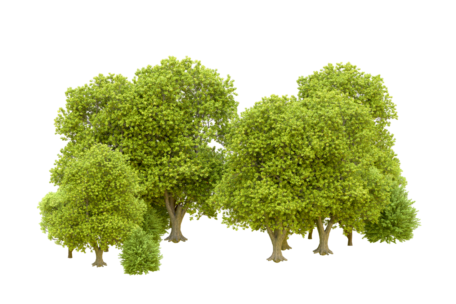 Green forest isolated on background. 3d rendering - illustration png
