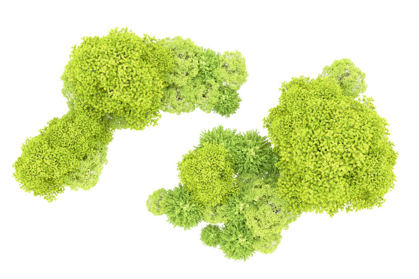 Green forest isolated on background. 3d rendering - illustration png