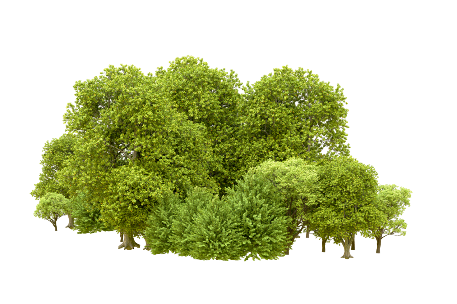 Green forest isolated on background. 3d rendering - illustration png