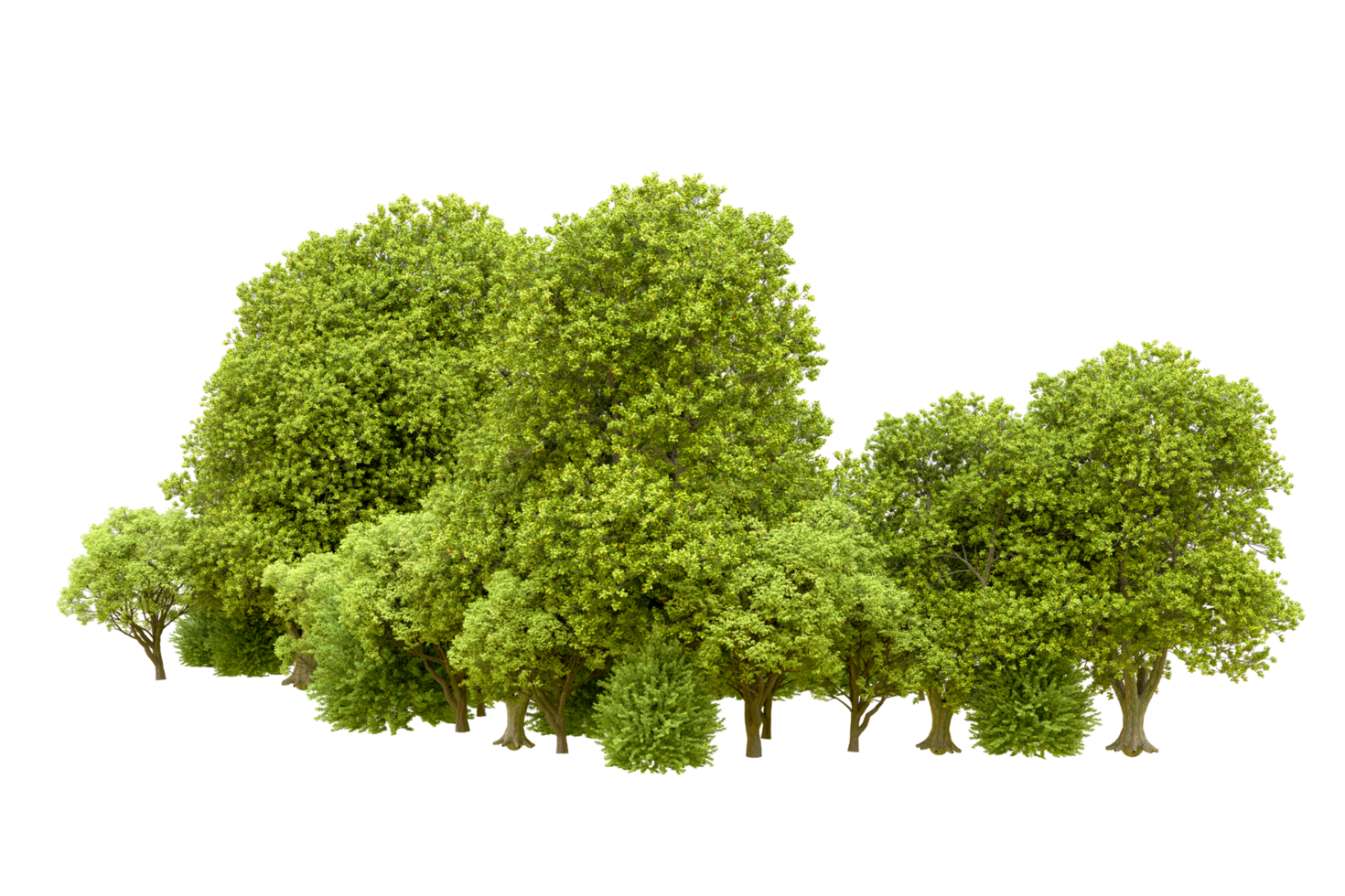 Green forest isolated on background. 3d rendering - illustration png