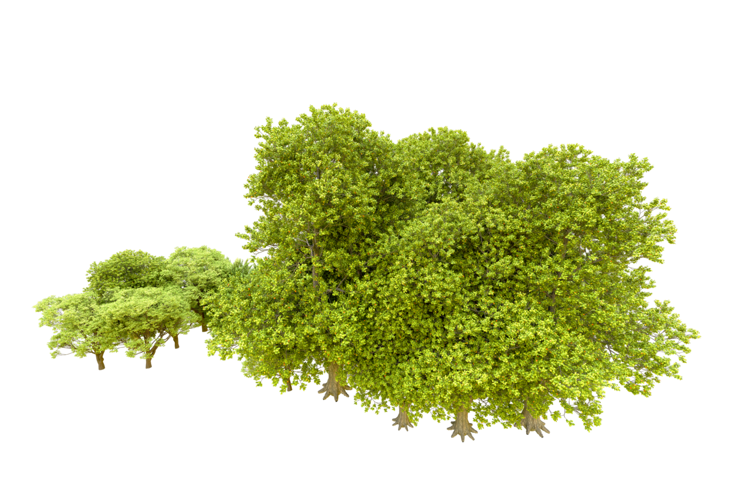 Green forest isolated on background. 3d rendering - illustration png