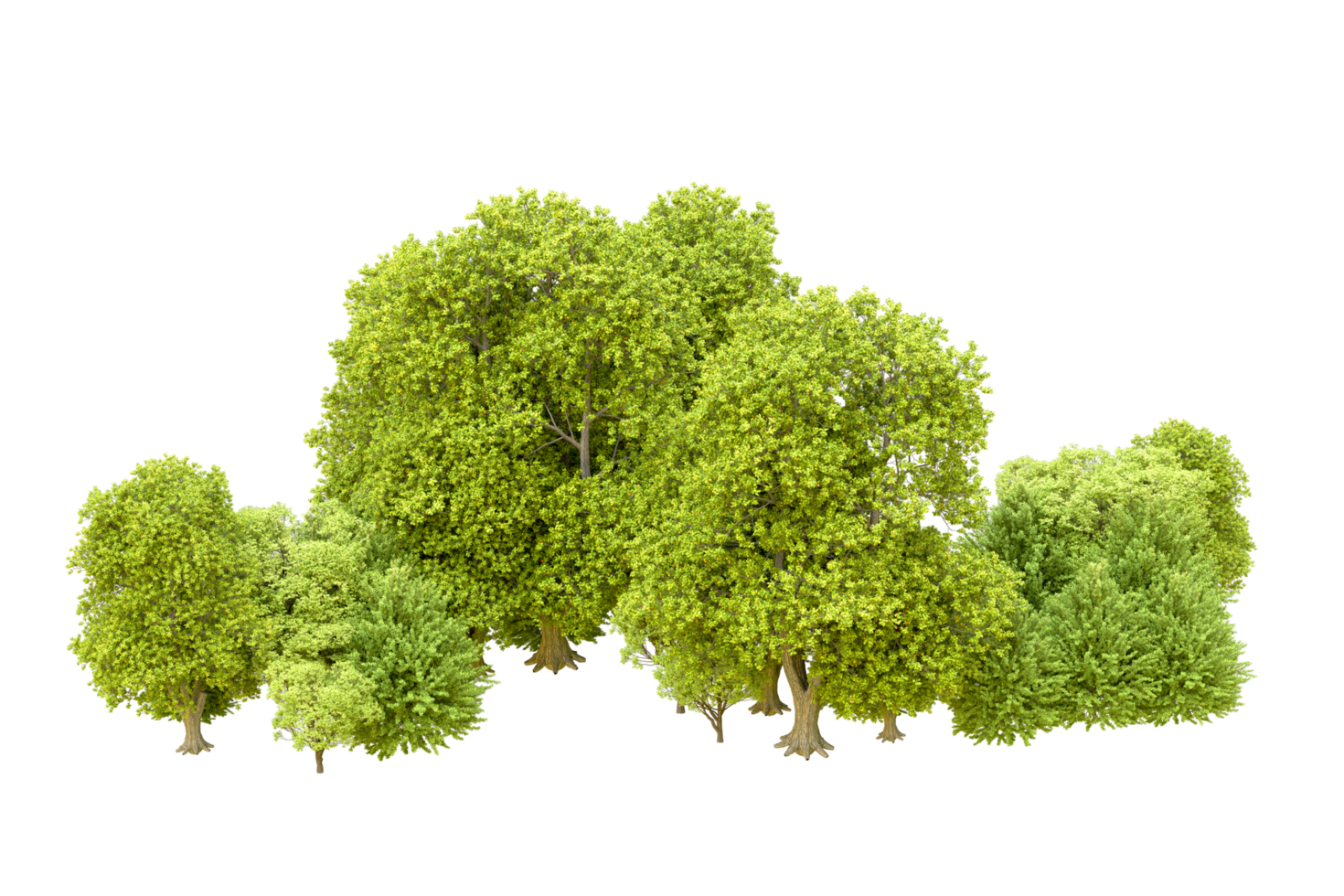 Green forest isolated on background. 3d rendering - illustration png