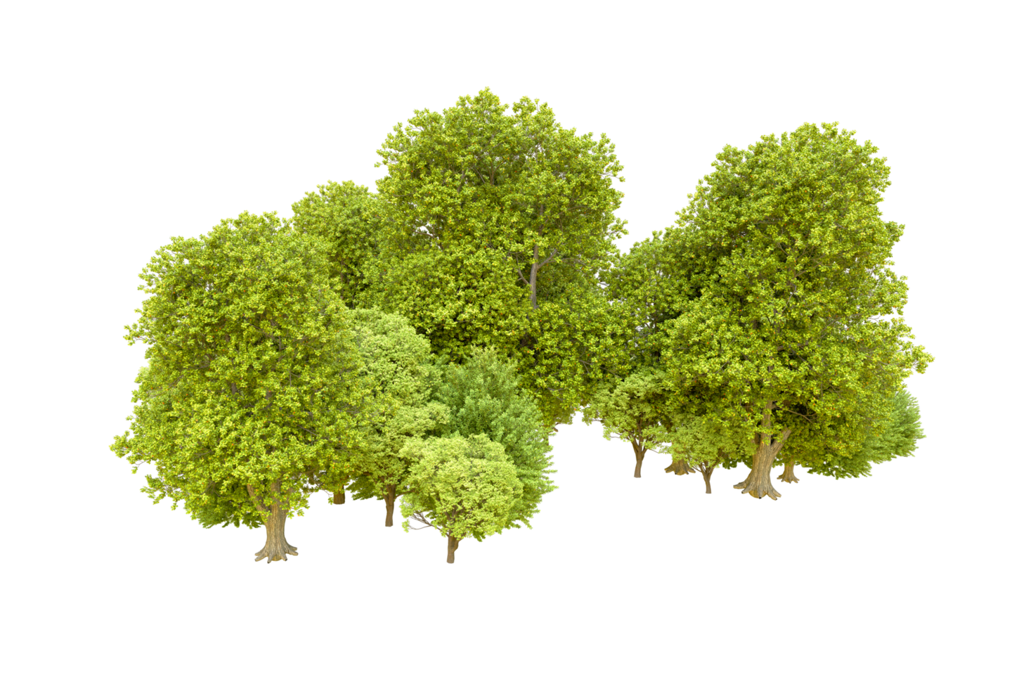 Green forest isolated on background. 3d rendering - illustration png