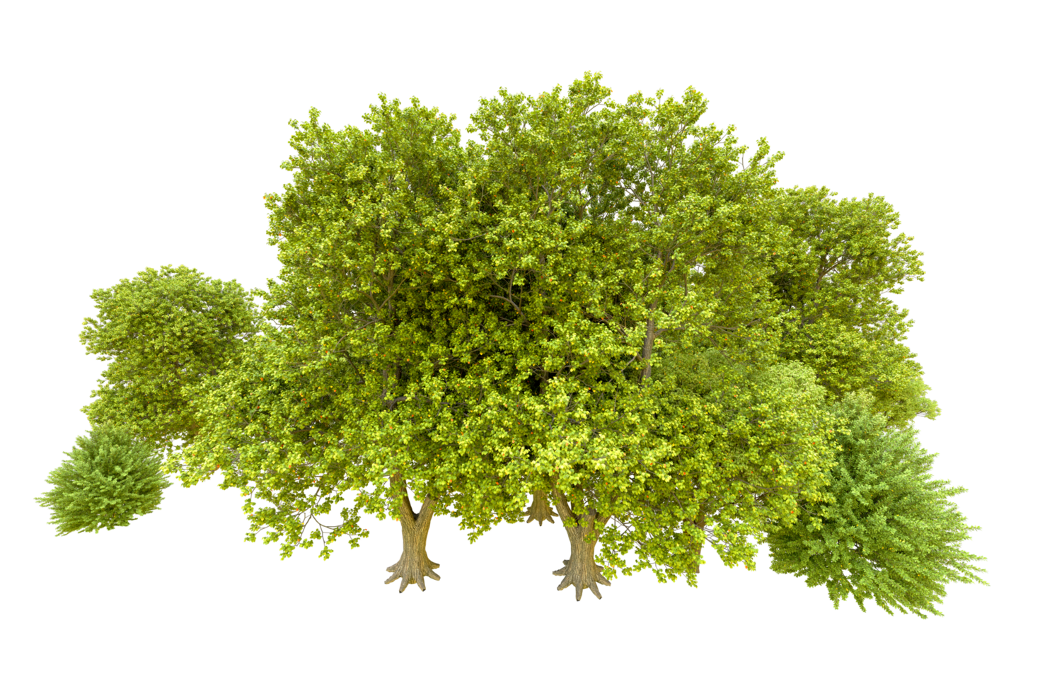 Green forest isolated on background. 3d rendering - illustration png