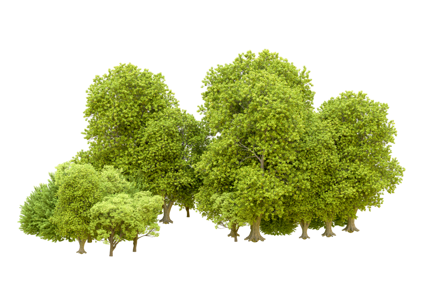 Green forest isolated on background. 3d rendering - illustration png