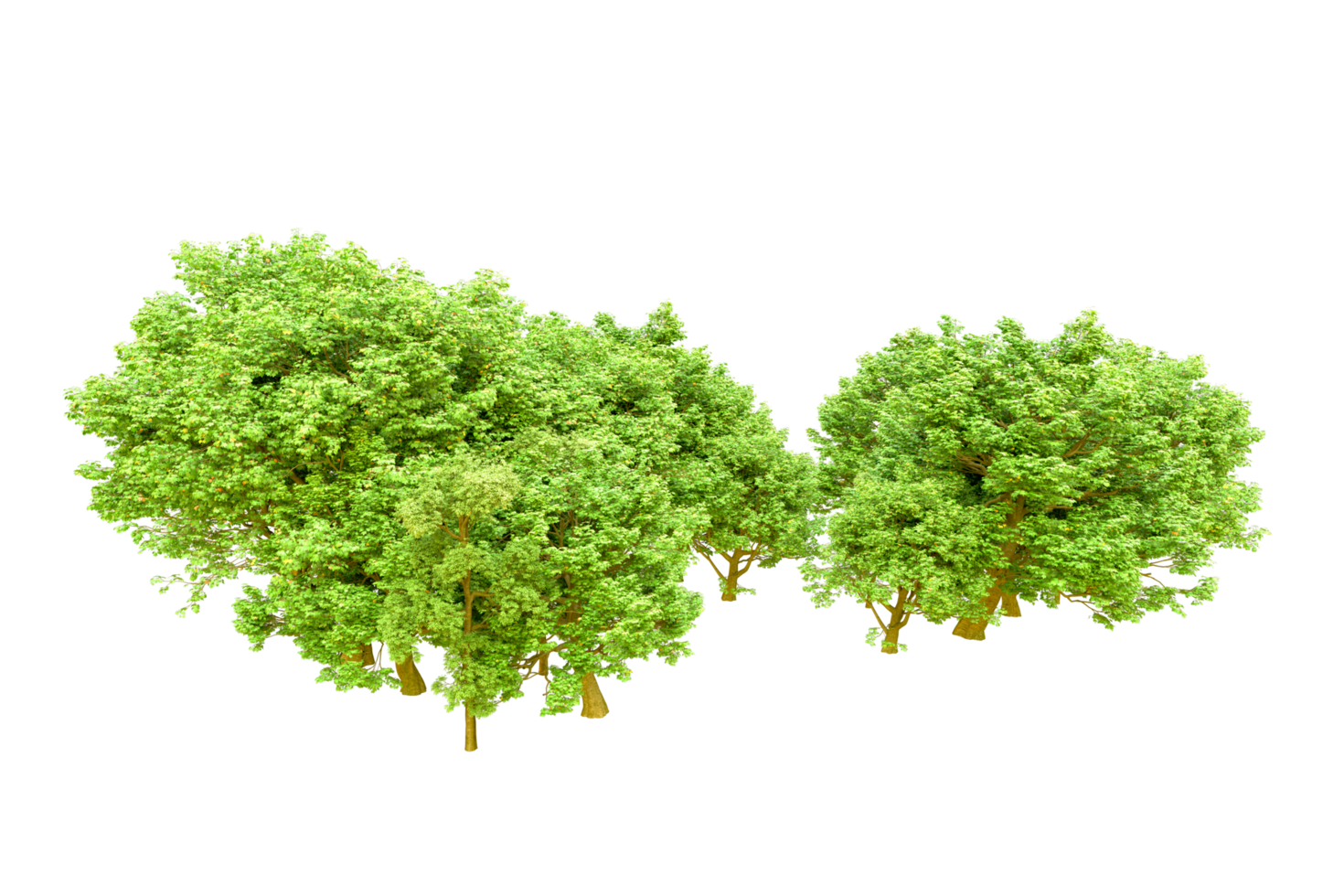 Green forest isolated on background. 3d rendering - illustration png