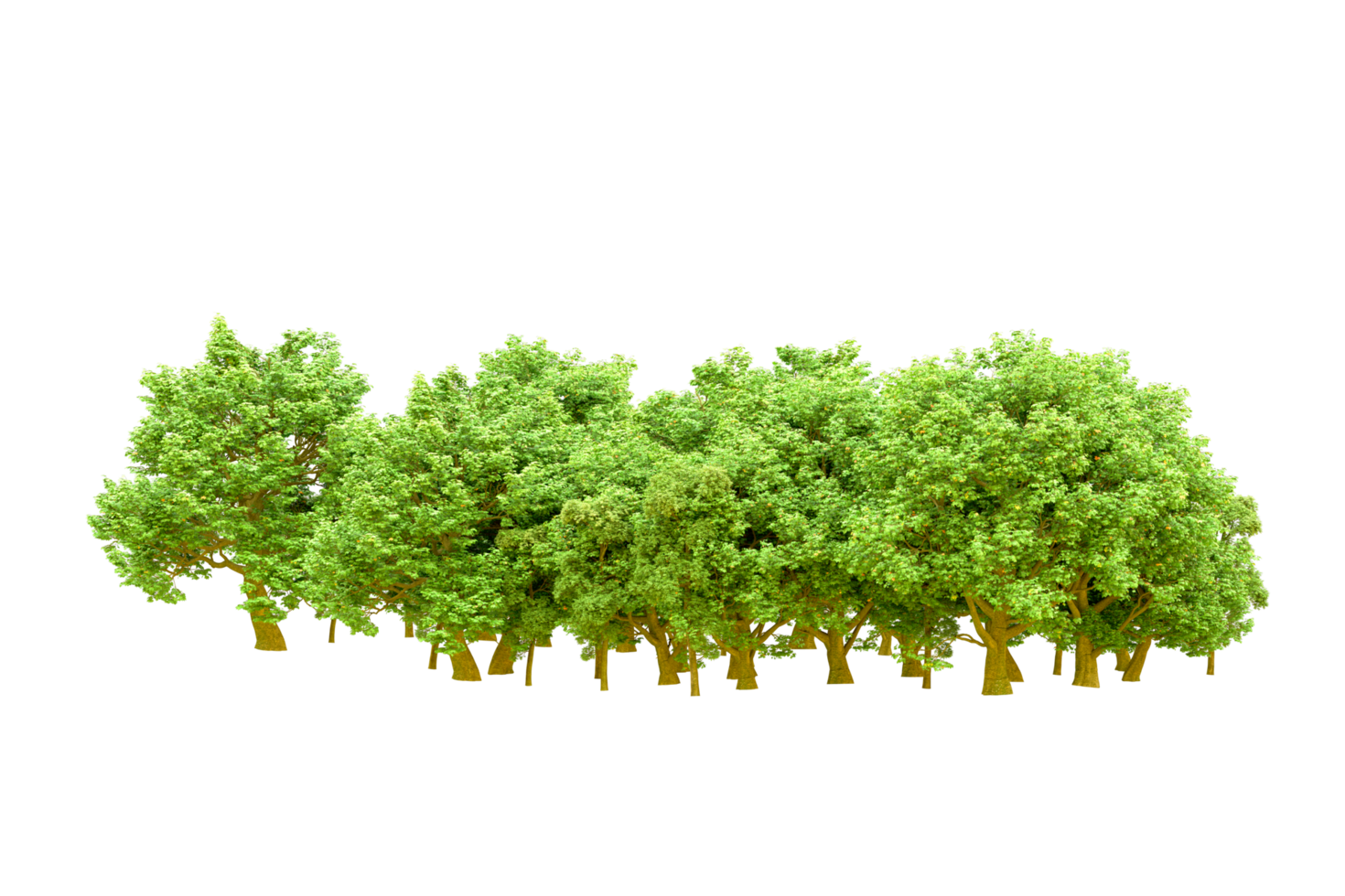 Green forest isolated on background. 3d rendering - illustration png