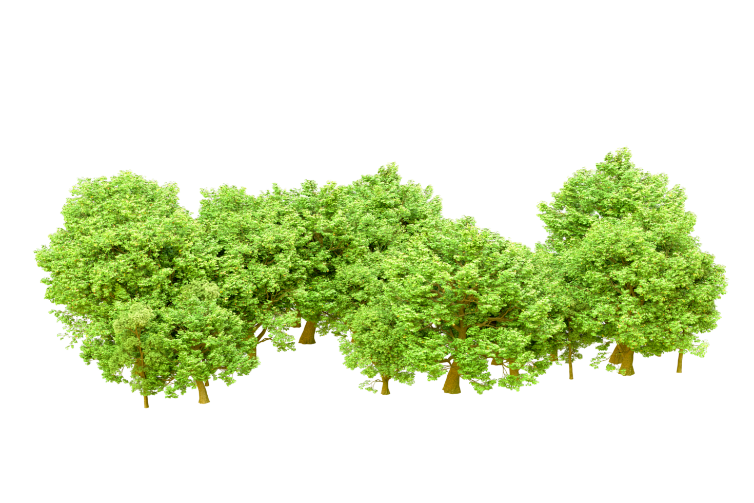 Green forest isolated on background. 3d rendering - illustration png