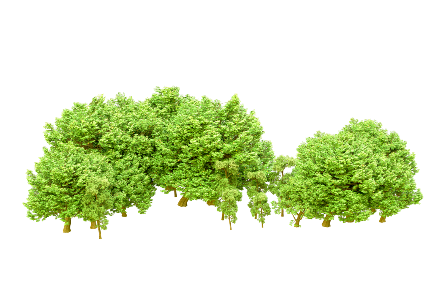 Green forest isolated on background. 3d rendering - illustration png
