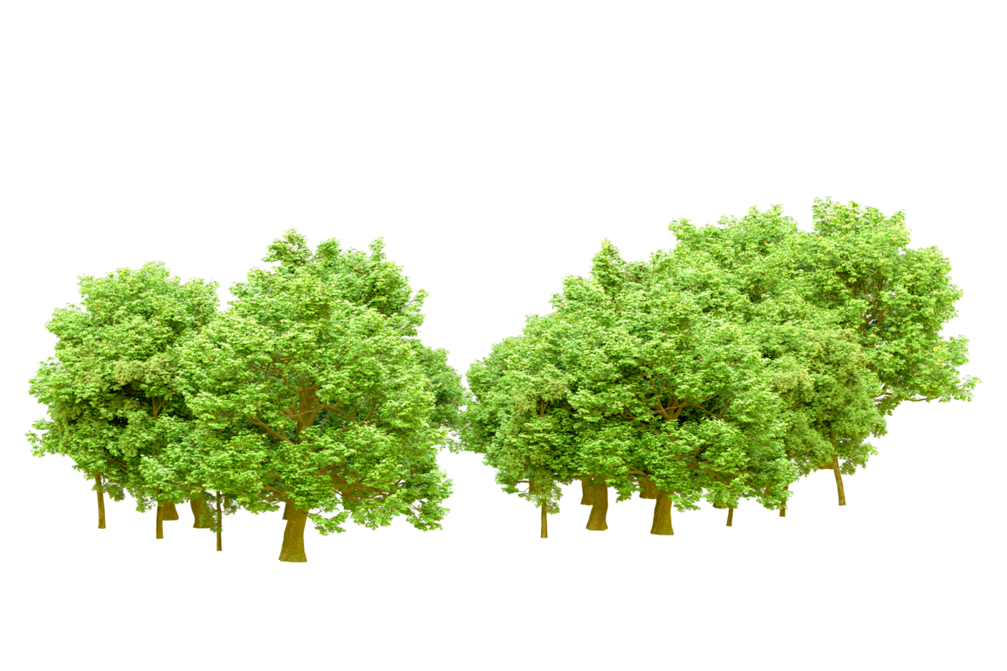 Green forest isolated on background. 3d rendering - illustration png