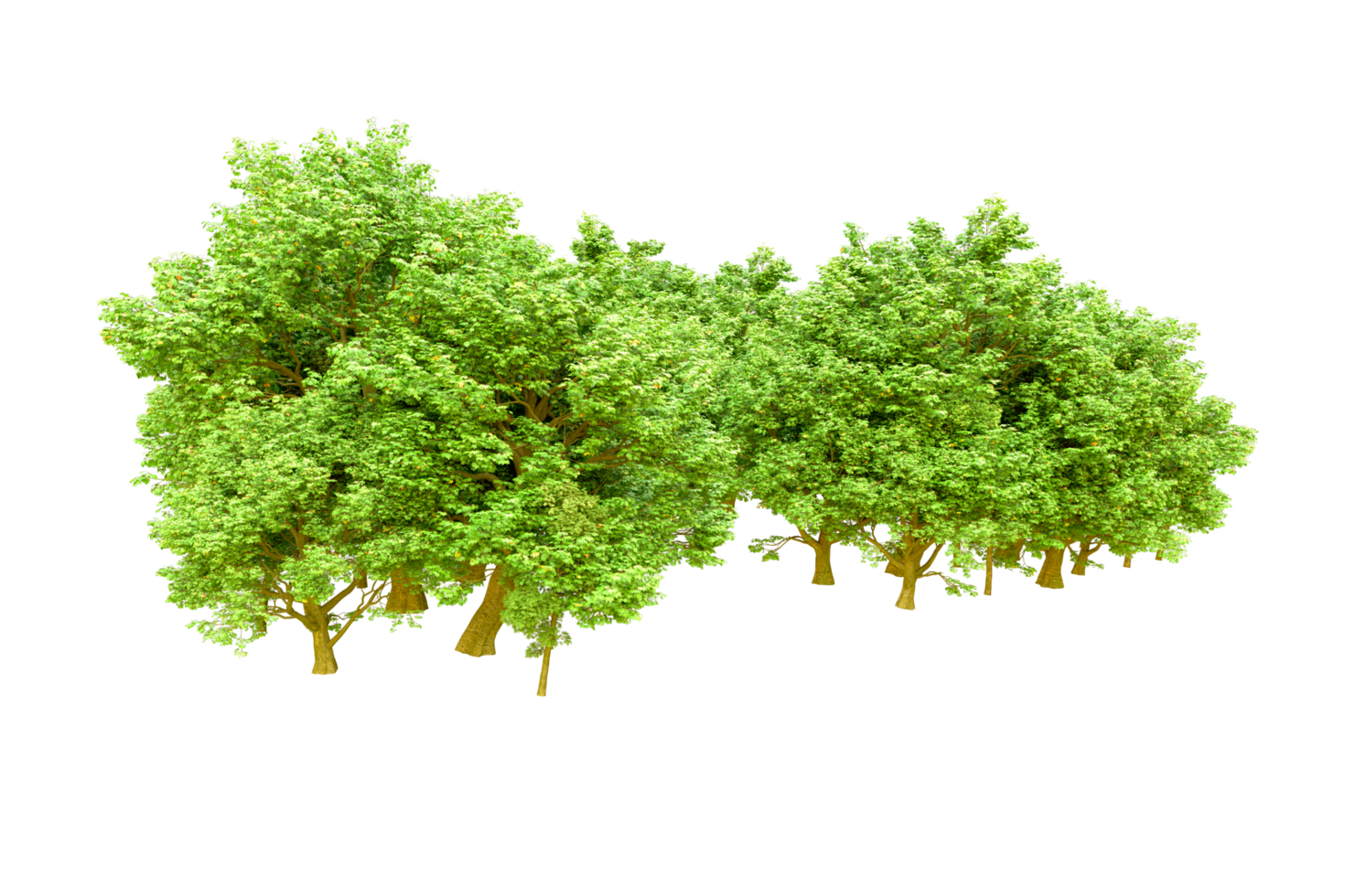Green forest isolated on background. 3d rendering - illustration png