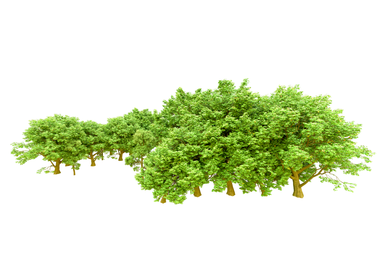 Green forest isolated on background. 3d rendering - illustration png