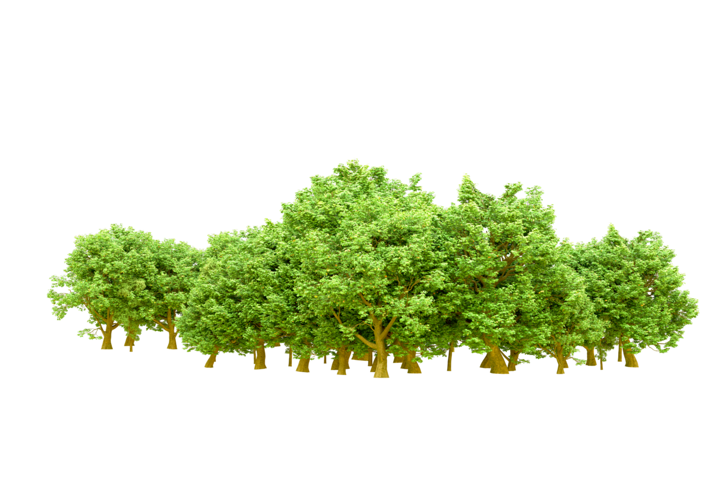 Green forest isolated on background. 3d rendering - illustration png