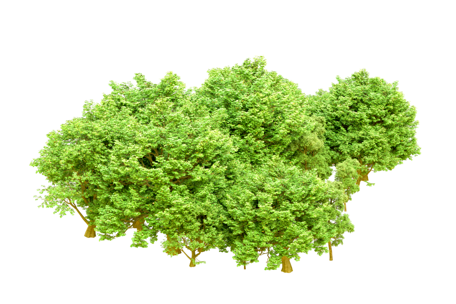 Green forest isolated on background. 3d rendering - illustration png