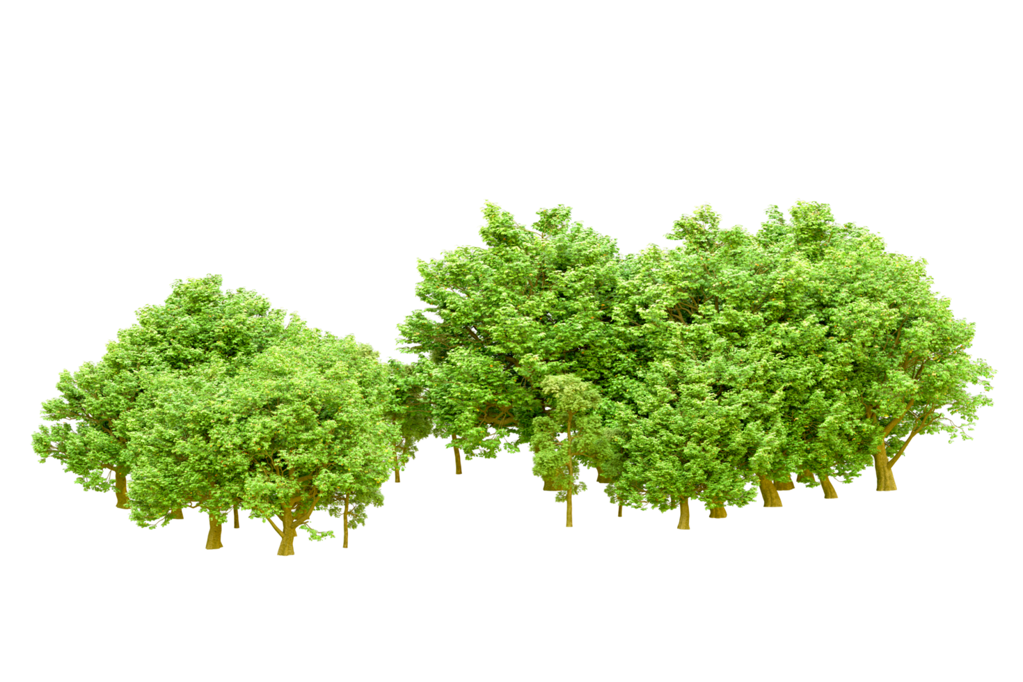 Green forest isolated on background. 3d rendering - illustration png
