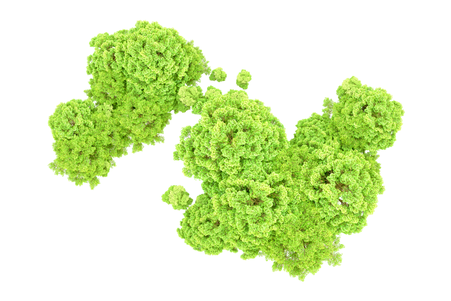Green forest isolated on background. 3d rendering - illustration png