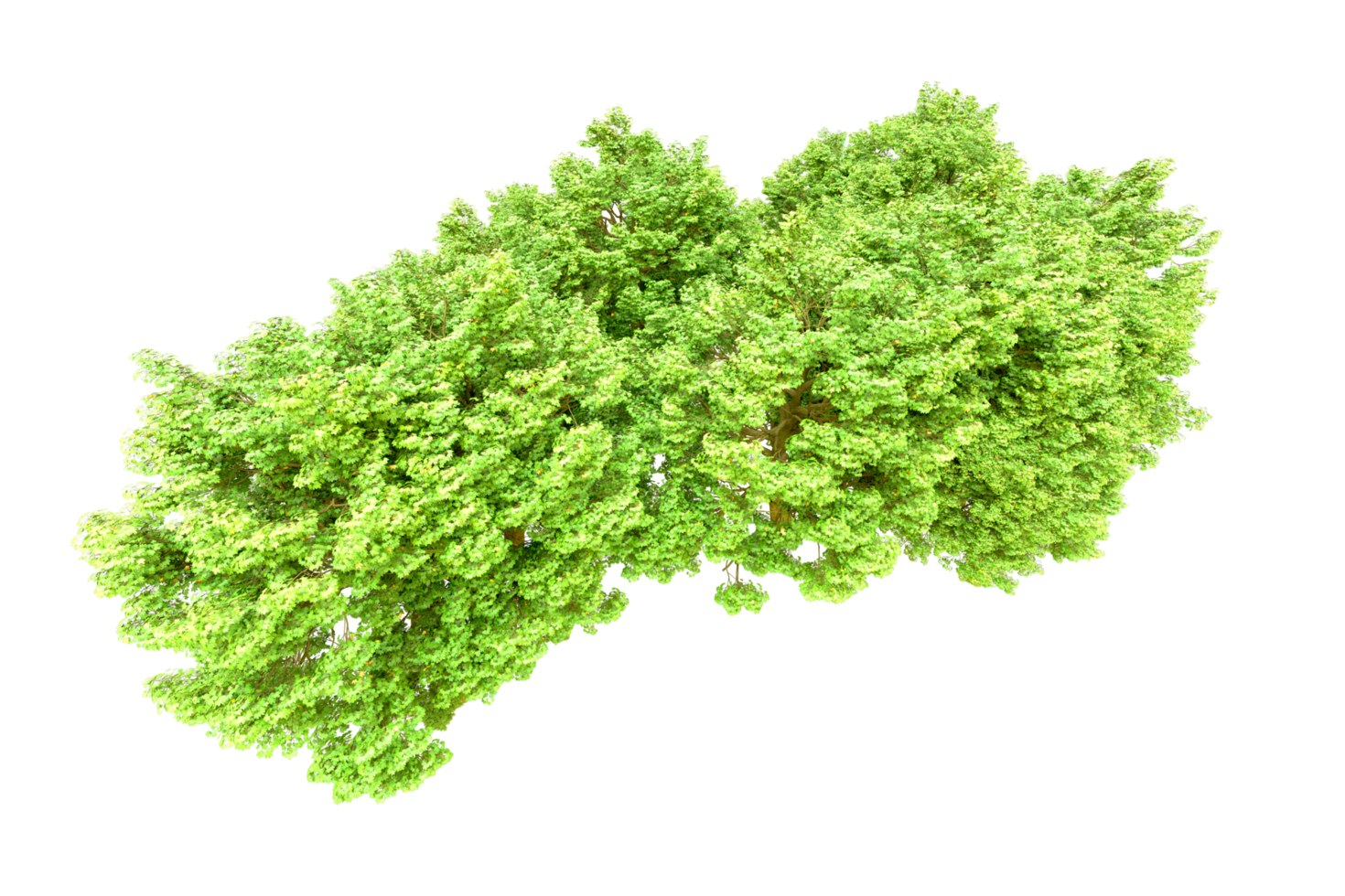Green forest isolated on background. 3d rendering - illustration png