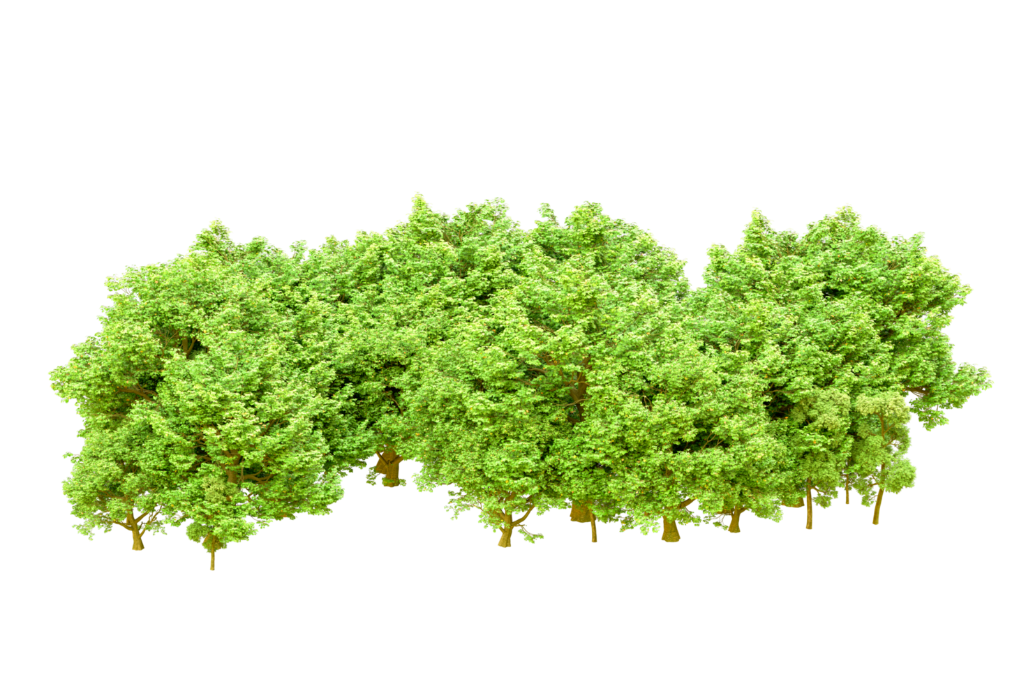 Green forest isolated on background. 3d rendering - illustration png