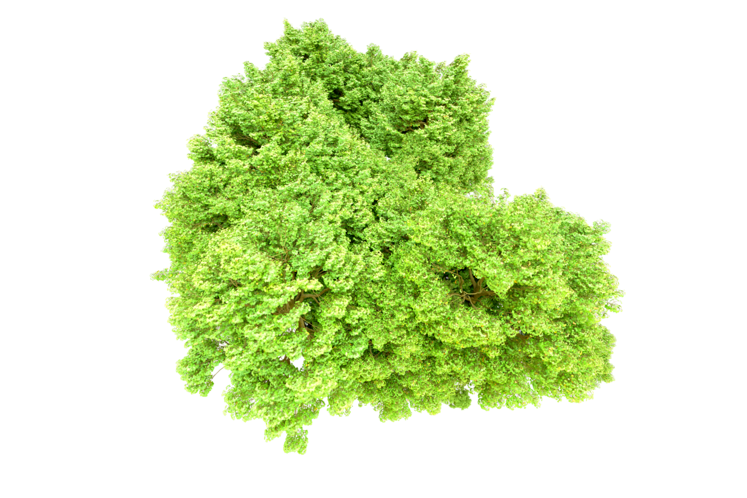 Green forest isolated on background. 3d rendering - illustration png