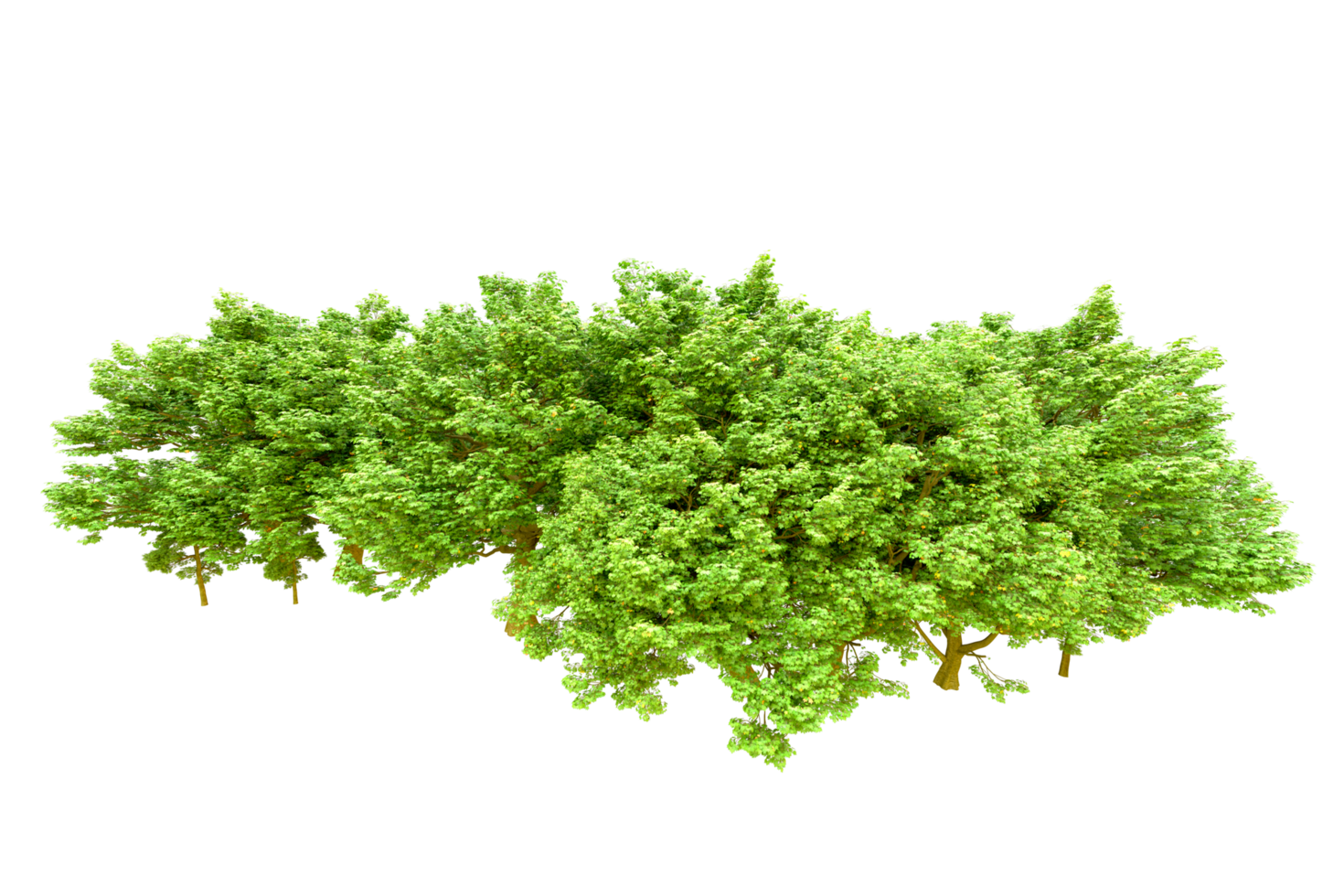 Green forest isolated on background. 3d rendering - illustration png