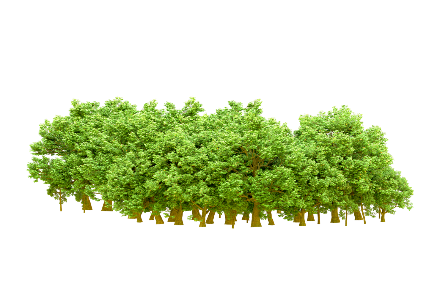 Green forest isolated on background. 3d rendering - illustration png