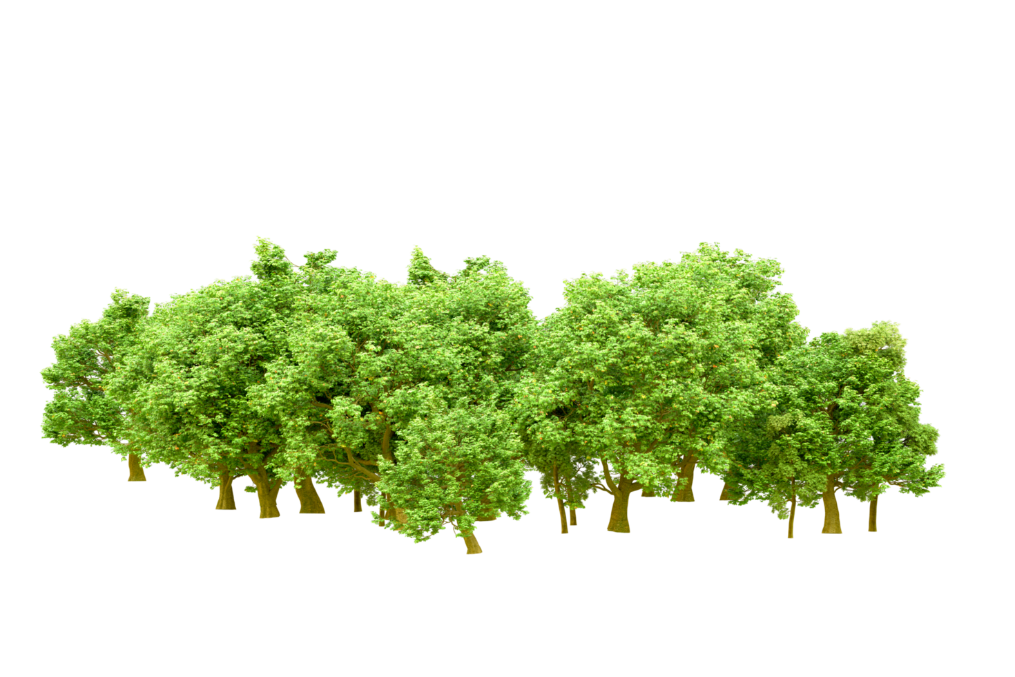 Green forest isolated on background. 3d rendering - illustration png