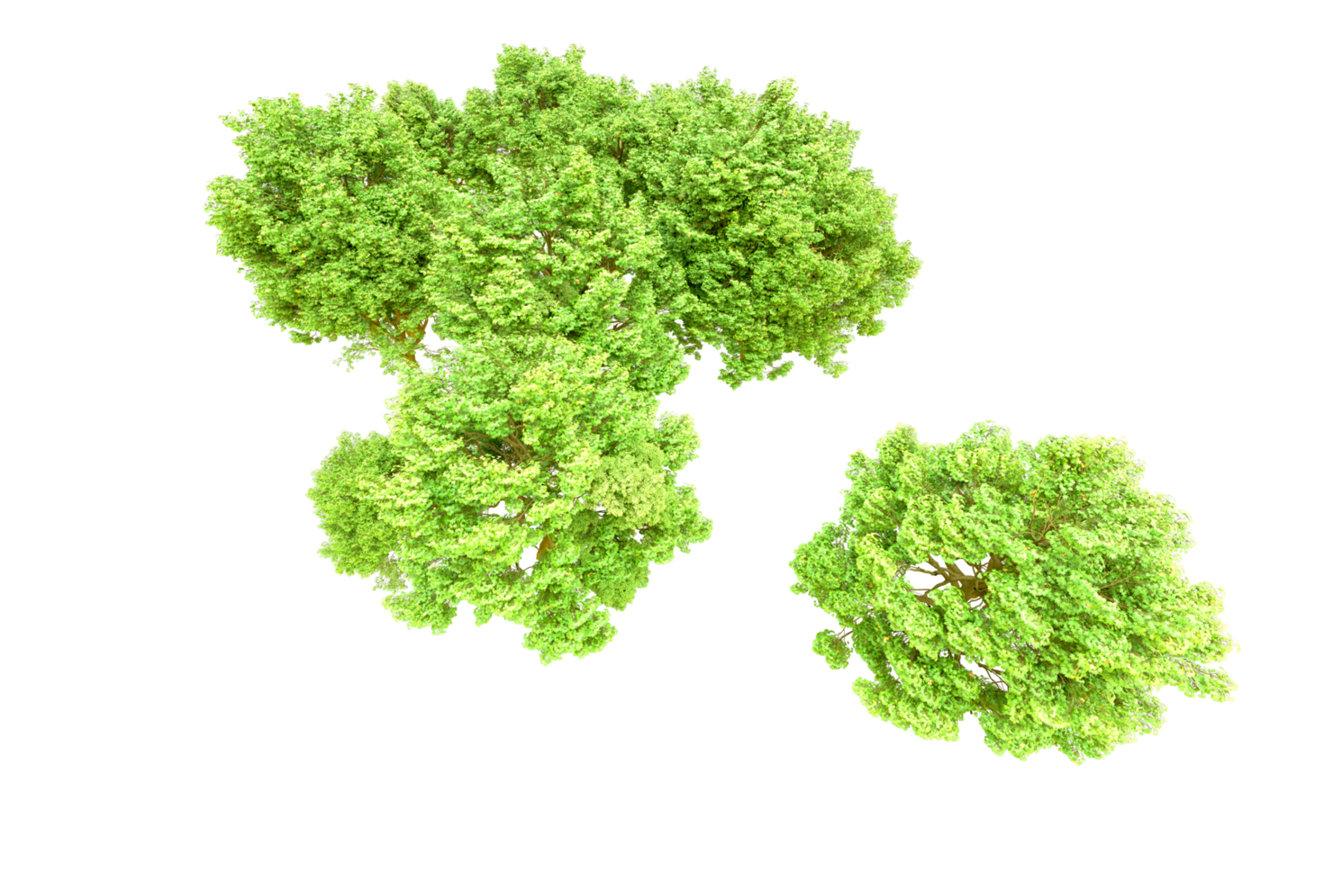 Green forest isolated on background. 3d rendering - illustration png