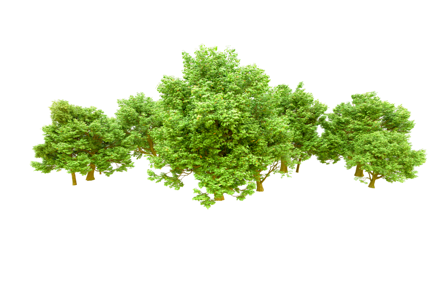 Green forest isolated on background. 3d rendering - illustration png