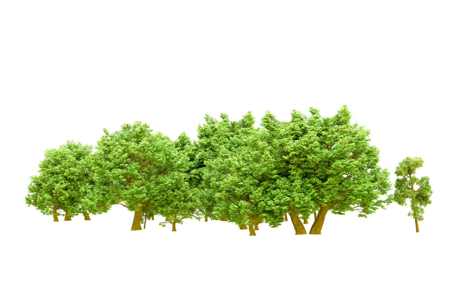 Green forest isolated on background. 3d rendering - illustration png