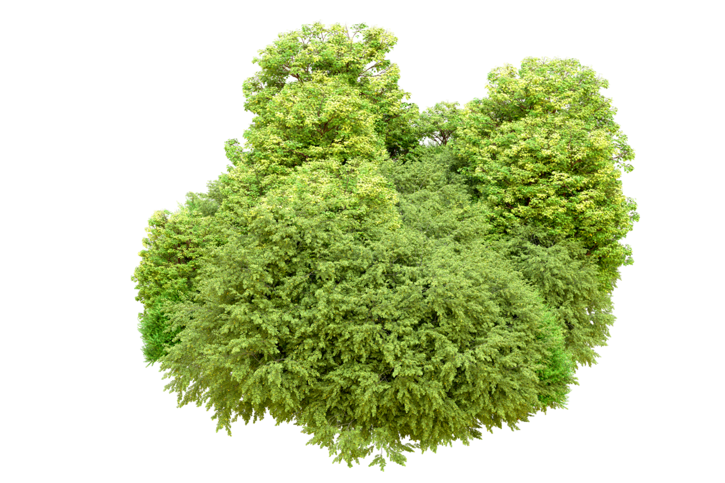 Green forest isolated on background. 3d rendering - illustration png