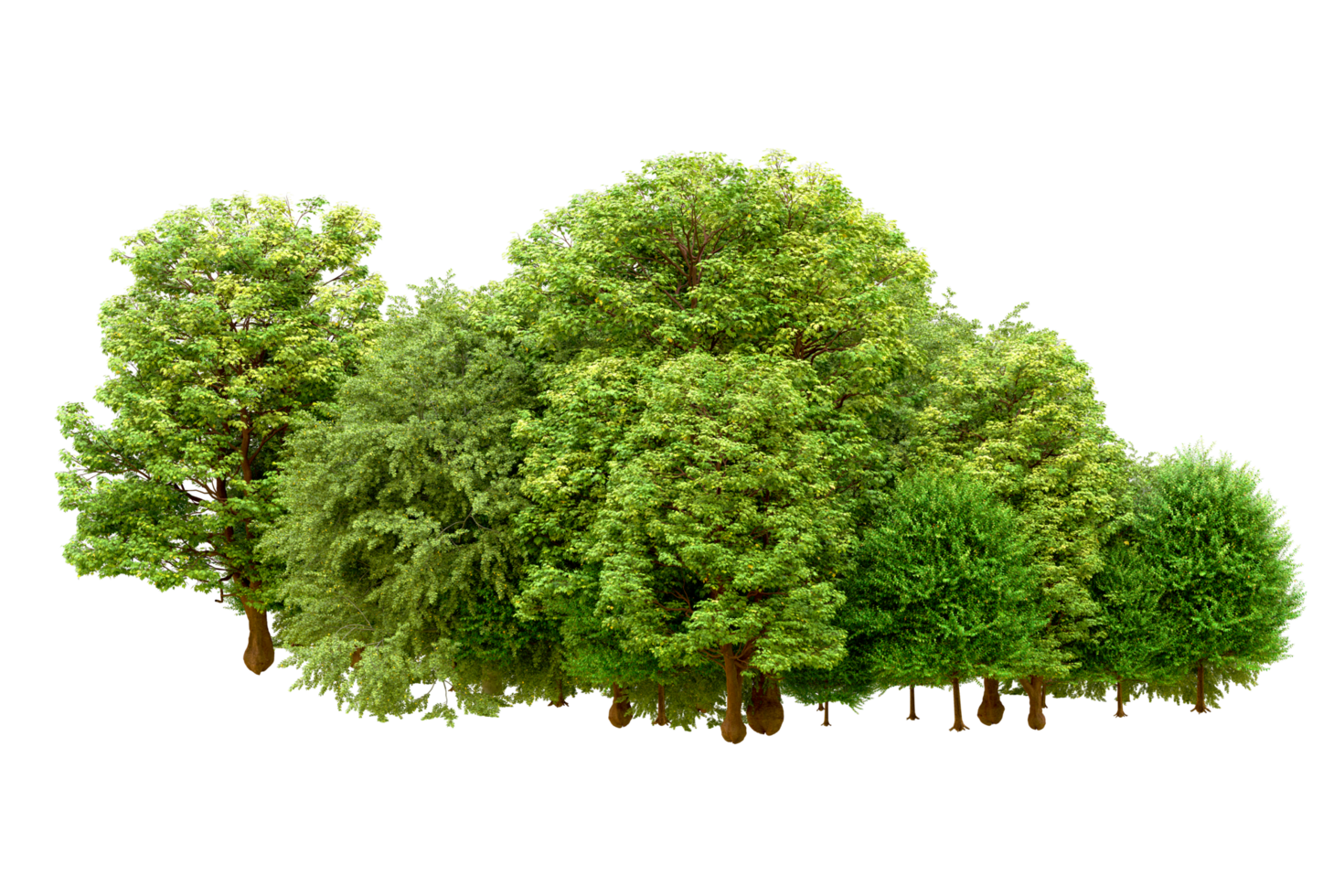 Green forest isolated on background. 3d rendering - illustration png