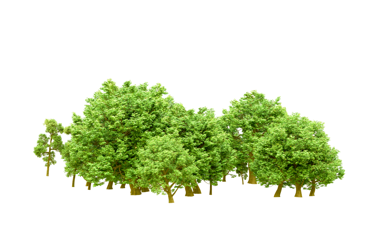 Green forest isolated on background. 3d rendering - illustration png