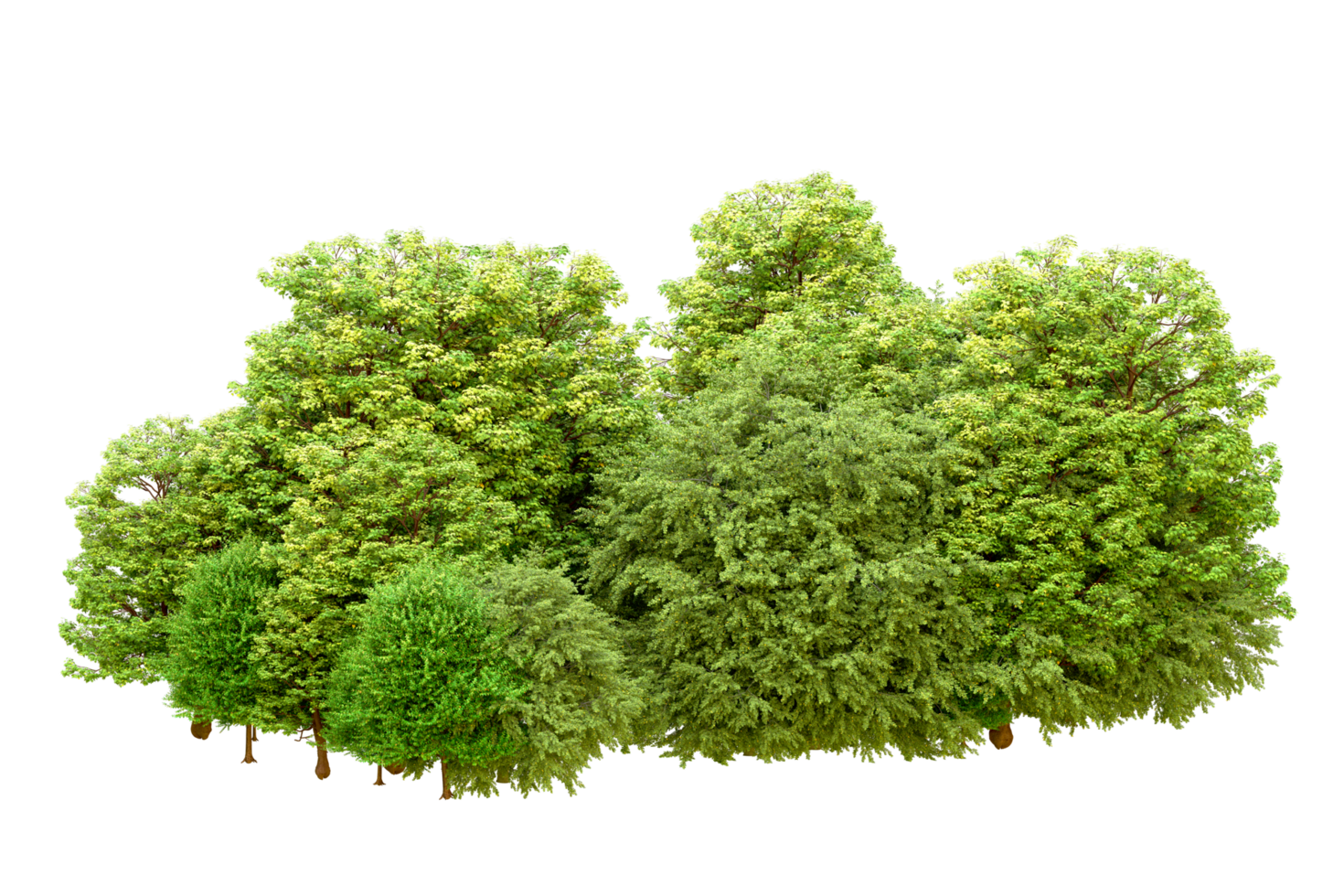 Green forest isolated on background. 3d rendering - illustration png