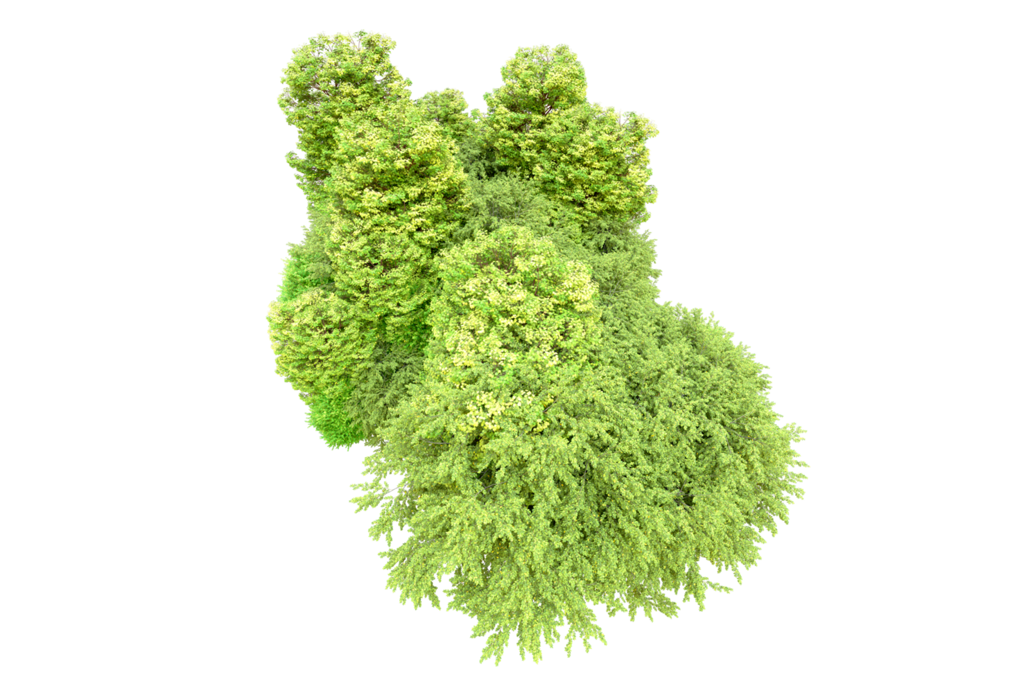 verde floresta isolado em fundo. 3d Renderização - ilustração png