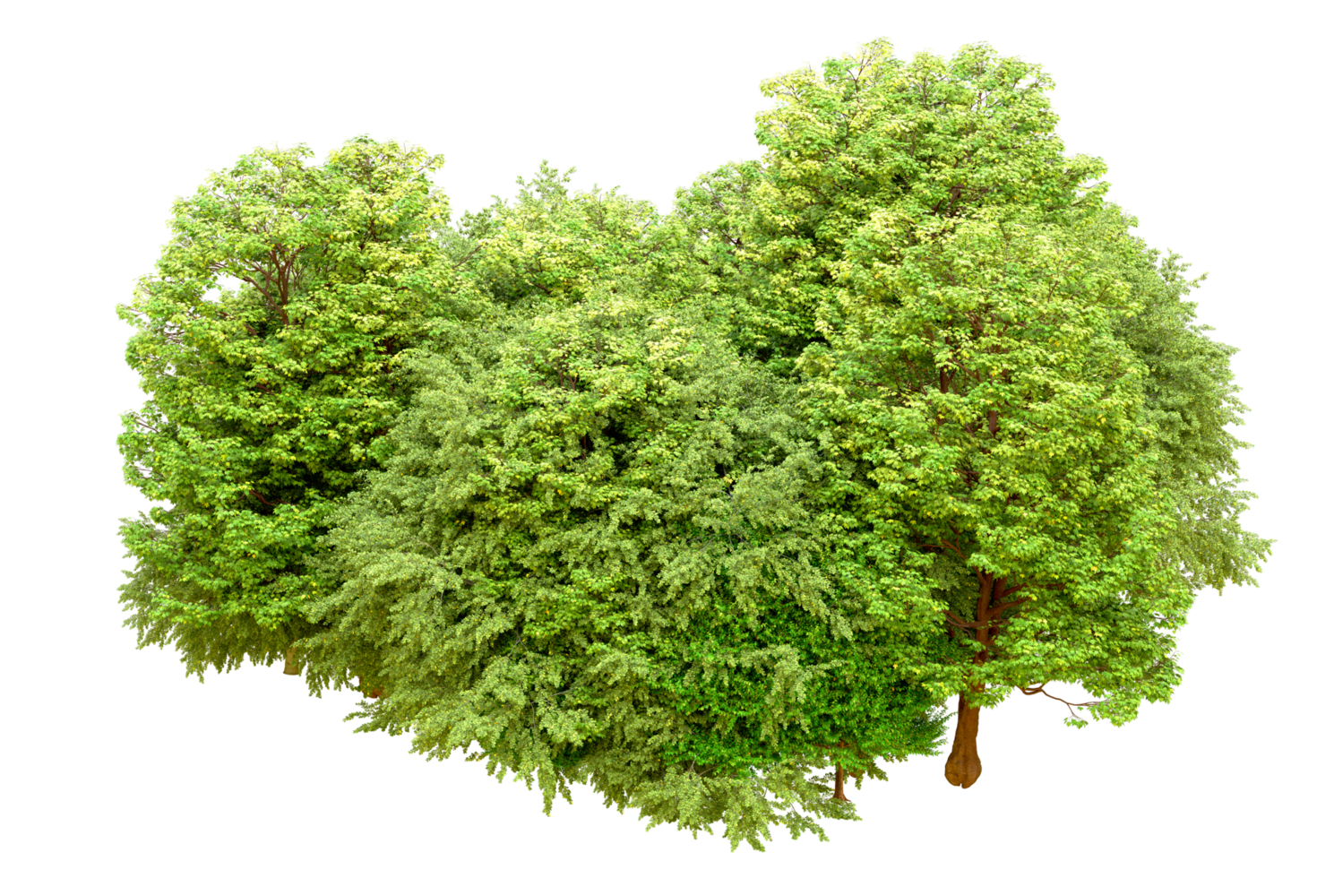 Green forest isolated on background. 3d rendering - illustration png