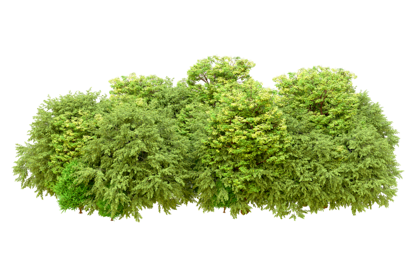 Green forest isolated on background. 3d rendering - illustration png